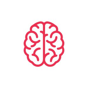 SUPPORTS BRAIN FUNCTION